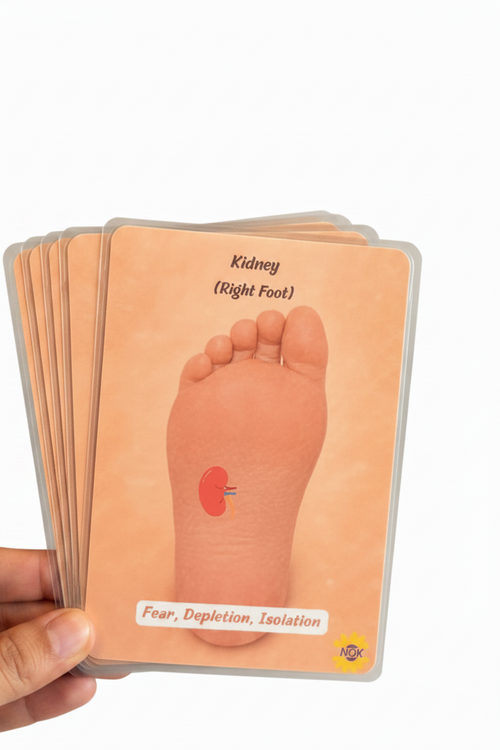 Replenishment Pack - Kidneys