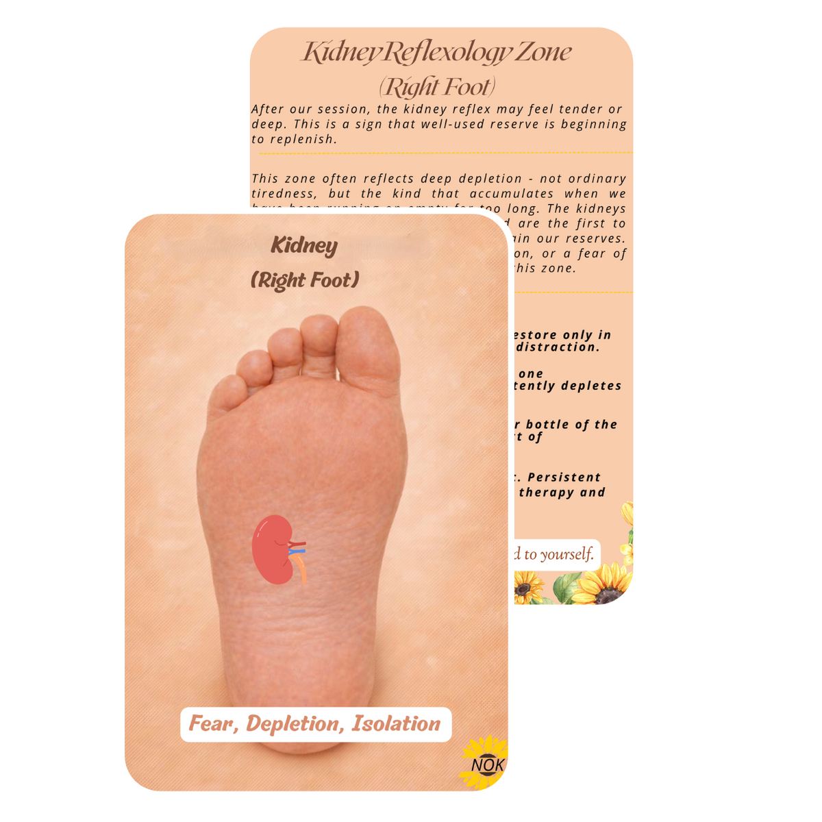 Replenishment Pack - Kidneys